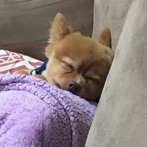 Meet your Posher, Ashlynn